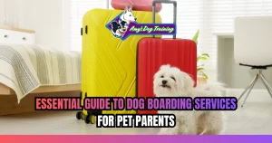 Essential Guide to Dog Boarding Services for Pet Parents