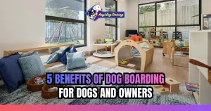 5 Benefits of Dog Boarding for Dogs and Owners