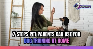 7 Steps Pet Parents Can Use for Dog Training at Home