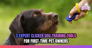 3 Expert Clicker Dog Training Tools for First-Time Pet Owners