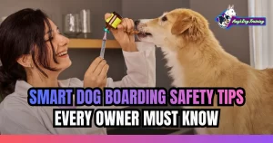 Smart Dog Boarding Safety Tips Every Owner Must Know