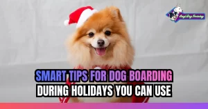 Smart Tips for Dog Boarding During Holidays You Can Use