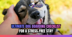 Ultimate Dog Boarding Checklist for a Stress-Free Stay