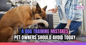 4 Dog Training Mistakes Pet Owners Should Avoid Today