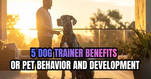 5 Dog Trainer Benefits for Pet Behavior and Development
