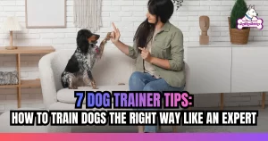 7 Dog Trainer Tips_ How to Train Dogs the Right Way Like An Expert
