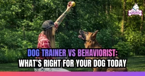 Dog Trainer vs Behaviorist_ What’s Right for Your Dog Today