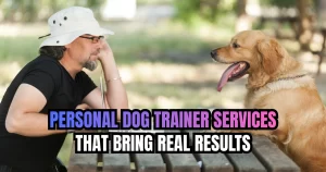 Personal Dog Trainer Services That Bring Real Results