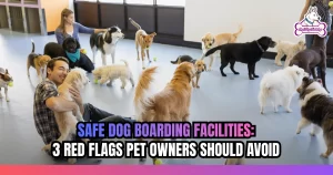 Safe Dog Boarding Facilities: 3 Red Flags Pet Owners Should Avoid