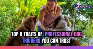 Top 8 Traits of Professional Dog Trainers You Can Trust