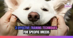 3 Effective Training Techniques for Specific Breeds