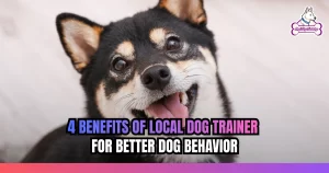 4 Benefits of Local Dog Trainer for Better Dog Behavior